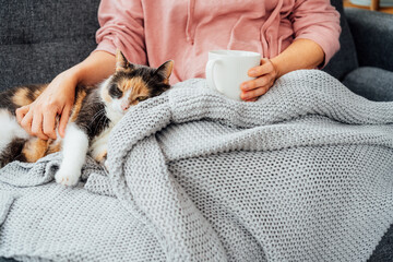 Close-up woman in a plaid drinking hot tea, petting a relaxed cat on the sofa at home. Cozy and...