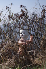 porcelain destroyed doll in the bushes