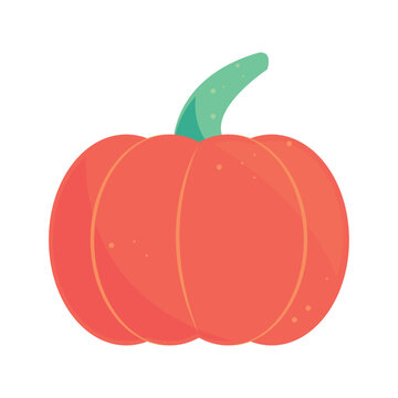 halloween pumpkin cartoon icon