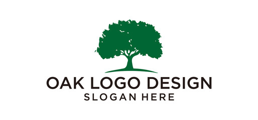 Oak logo design