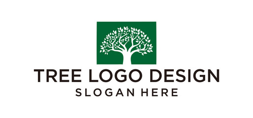Tree logo design