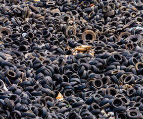 Obraz premium Landfill with old used tires