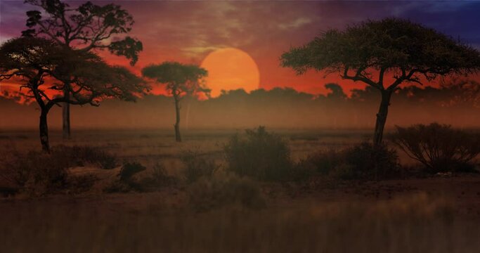 Animated landscape featuring a misty African savanna at sunset, with grass, bushes, trees, and a large sun. 