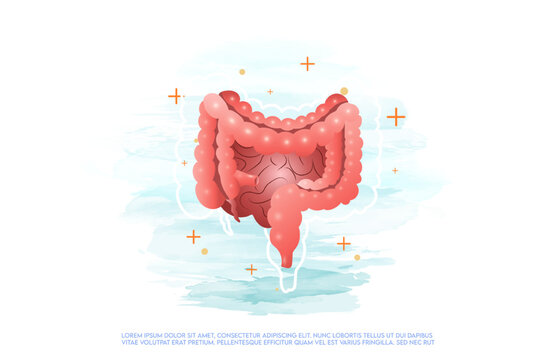 Human intestines and treatment watercolor style. A concept hospital for wallpaper and web.