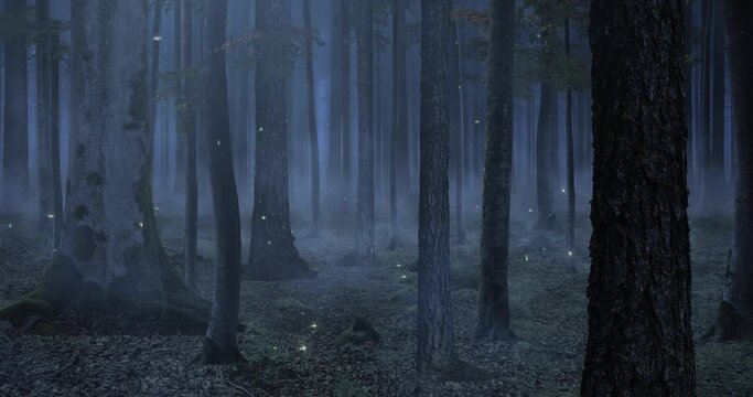 Animated forest landscape, with fog, and fireflies flying around the trees at night.