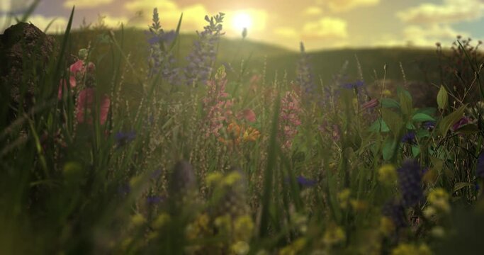 Animated landscape of a meadow with wildflowers blowing in the wind at sunset