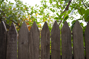 wooden fence at the house in the meadow, you can see leaves from the trees behind the fence.