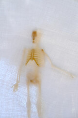 eerie blurry bones and skull of human skeleton, zombies behind window, fabric, wrap, ghost, spirit...