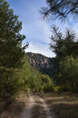 Ruta por el alto tajo , Taravilla