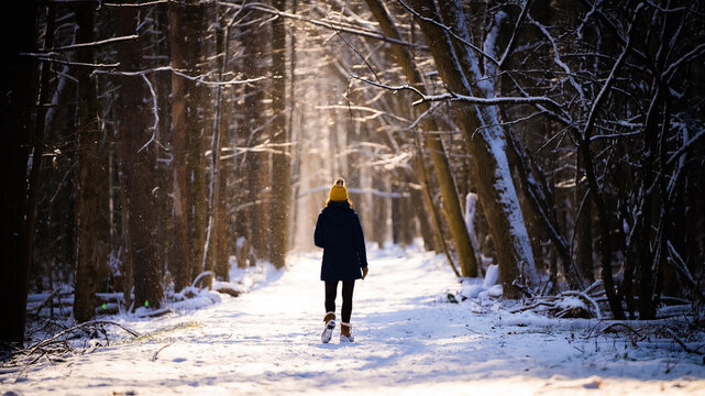 A Woman Walking Into The Distance At A Forest Trail During A Winter Sunset.