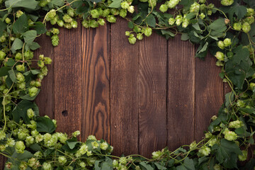 Wooden background. Frame of green hops on rustic old wooden boards. Copy space.