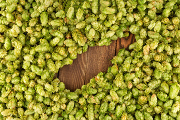 Green cones of hops on a rustic aged wooden table with copy space. Brewery concept background. Hop cones formed as a shape of beer bottle.