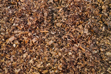 image of wood chips