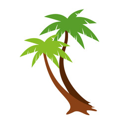 tropical coconut tree beach illustration