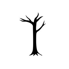 big lush tropical tree