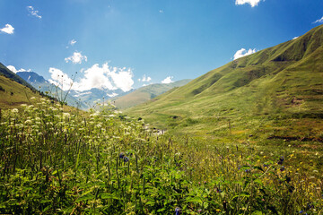 View of high alpine meadows.