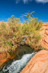 The natural beauty of Sand Hollow State Park in Utah