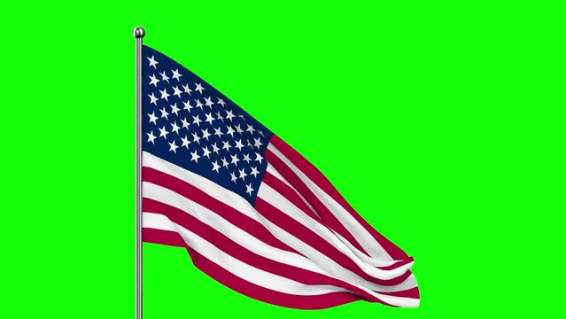 USA flag on green background. Isolated 3D render