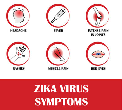 Zika virus symptoms, icons of fever, headeche, pain, rashes, red eyes
