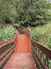 Old wooden stairway in forest, nature trail in reserve. Brown stairs among plants. Cloudy summer day. High quality photo