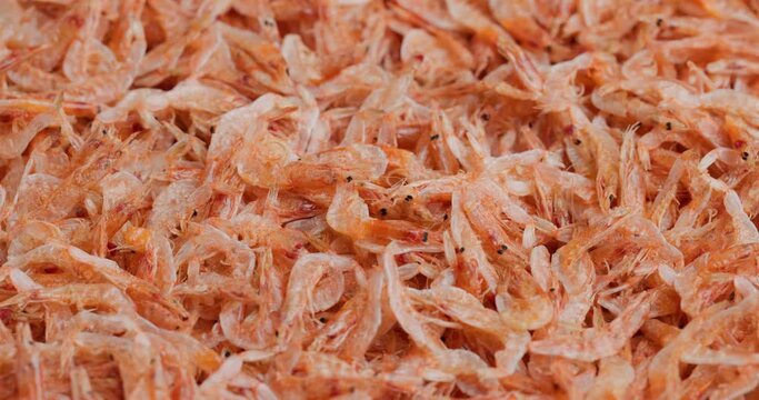 Dried Sergestid Shrimp seafood snack
