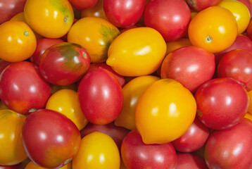 Fototapeta na wymiar Red and yellow tomatoes background