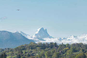 Le pic du Midi d'Ossau depuis le boulevard des Pyrénées à Pau, France - obrazy, fototapety, plakaty