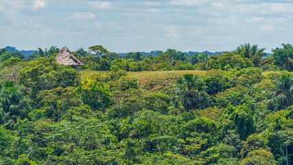 Indian huts in the Amazon rainforest