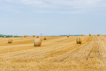 Fototapeta premium A field with golden hay bales in French countryside on the sky background.
