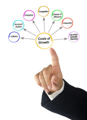 Seven Costs of Growth