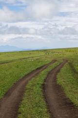 Fototapeta na wymiar Rural country road among green grass on a cloudy summer day in Karachay-Cherkessia russia