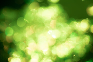 Fototapeta premium Green bokeh glitter background
