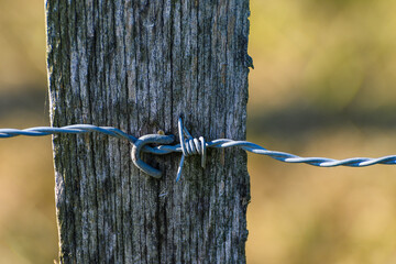 close-up of a wooden post of a field fence, dry and with a barbed wire nailed to it enclosing the perimeter. The background is out of focus