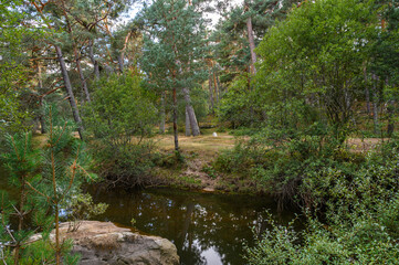 Fototapeta na wymiar close-up of a calm river bend with crystal clear water in the middle of the coniferous forest on a summer afternoon. Quiet, serene, peaceful time. refreshing atmosphere in the mountains