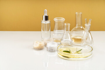 Alternative natural medicine and glassware, flasks and petri bowl. Alternative medicine herbs. Natural beauty skin care products. Concept research and development.