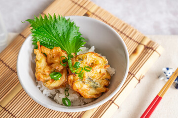 Fototapeta premium 野菜のかき揚げ丼