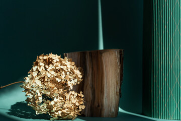 Podium natural wood material on a natural dry autumn leaf in the shade of a green background. Beauty cosmetic wooden display. Layout for exhibitions, products, cosmetics, health.