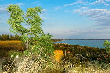 Panorama view of Balaton from the hill