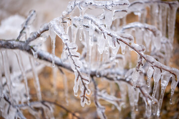 Frozen waterfalls on rocks with icicles in Iceland. Moss in ice. Spring warming, melting ice, dripping water of melted icicles.