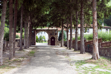 Fototapeta na wymiar Row of pine trees at the entrance of Temska monastery, St. George, Pirot area, Serbia. Adobe RGB color profile