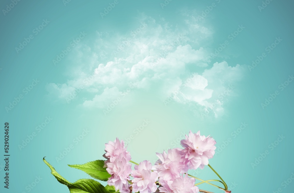 Sticker natural flowers garden on nature background over blue sky