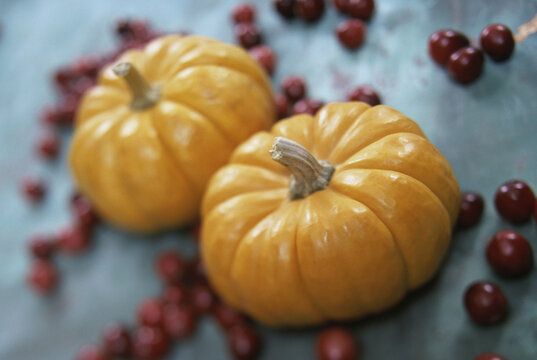 Close-up of pumpkin and berries