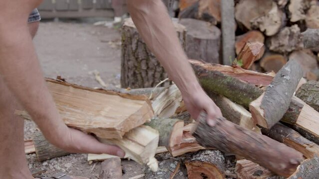 village man gathering lots of wood in split arms from a larger pile. image from the house on earth