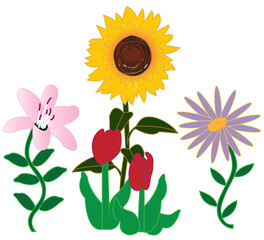 Nature, Floral Design, Illustration, with colorful flowers, sunflower, tulips,  pink lily, and purple daisy. PNG File.