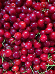 Fresh cherries