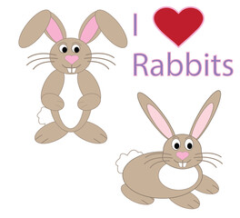 Cute animal design, illustration, I Love Rabbits, PNG File.