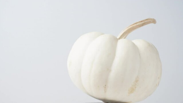 a painted white pumpkin for halloween rotates on a white background. close-up.