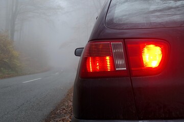 the back car light, rear fog and brake lights on the car on the early foggy. morning. bad...