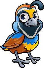 Quail Bird Cartoon Character
