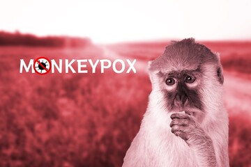 Monkeypox outbreak concept. Monkeypox is a viral zoonotic disease. Virus transmitted to humans from...